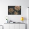 91638-87.jpg Giant Dandelion Standard Canvas