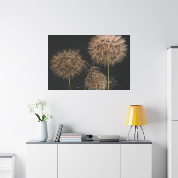 91638-87.jpg Giant Dandelion Standard Canvas