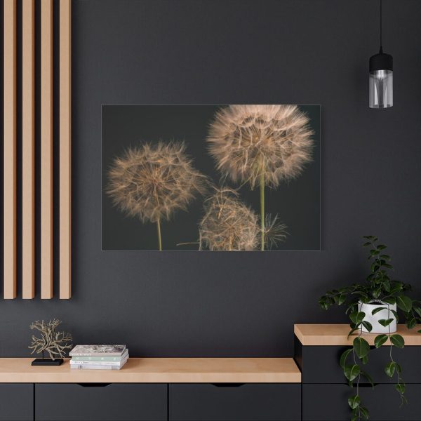 91638-88.jpg Giant Dandelion Standard Canvas