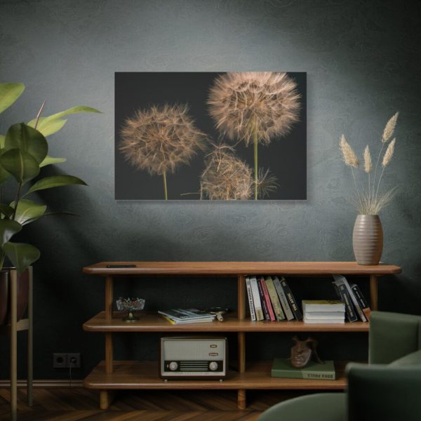 91638-89.jpg Giant Dandelion Standard Canvas