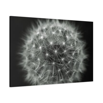 Dandelion Light Effect Standard Canvas