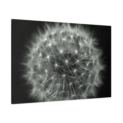 91638-90.jpg Dandelion Light Effect Standard Canvas