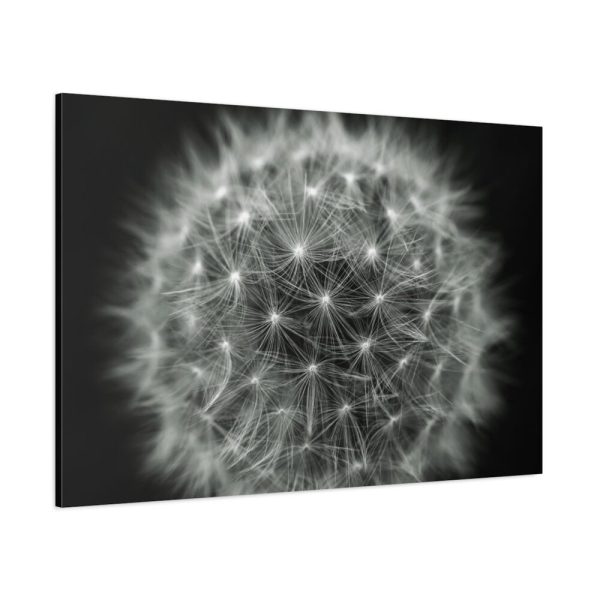 91638-90.jpg Dandelion Light Effect Standard Canvas