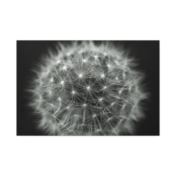 91638-91.jpg Dandelion Light Effect Standard Canvas