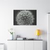 91638-92.jpg Dandelion Light Effect Standard Canvas