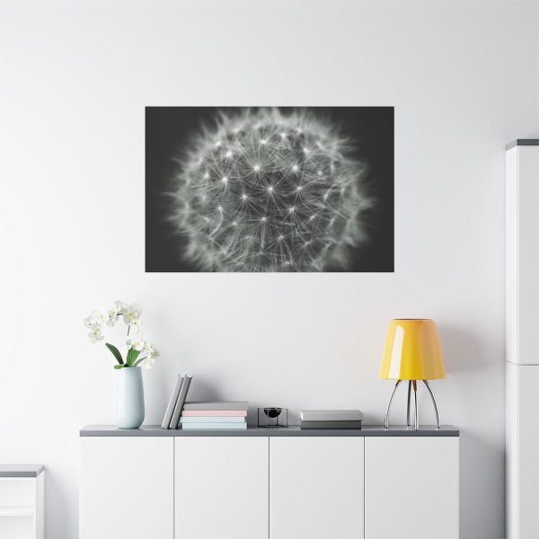 91638-92.jpg Dandelion Light Effect Standard Canvas