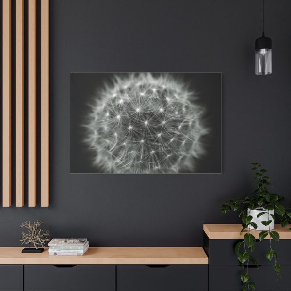 91638-93.jpg Dandelion Light Effect Standard Canvas
