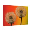 Dandelion on Yellow Background Standard Canvas