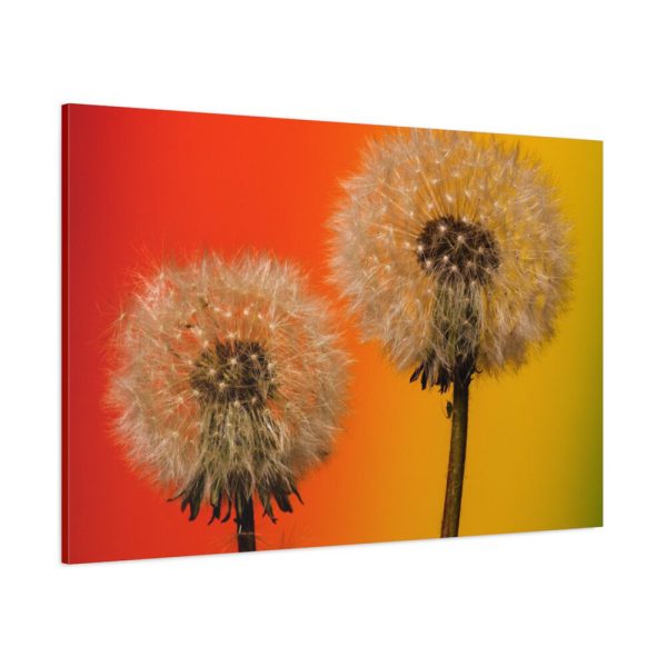 Dandelion on Yellow Background Standard Canvas