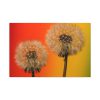 Dandelion on Yellow Background Standard Canvas
