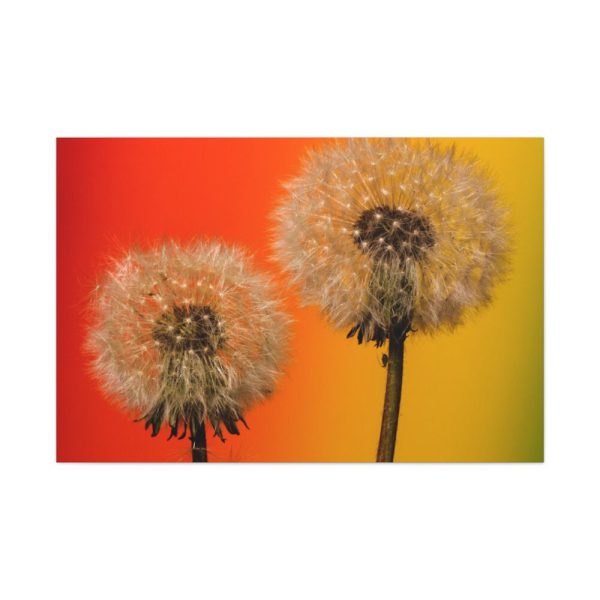 Dandelion on Yellow Background Standard Canvas