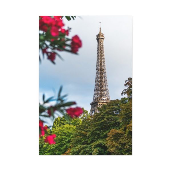 91655-16.jpg Paris in Nature Standard Canvas