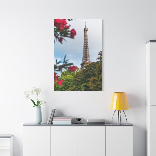 91655-17.jpg Paris in Nature Standard Canvas