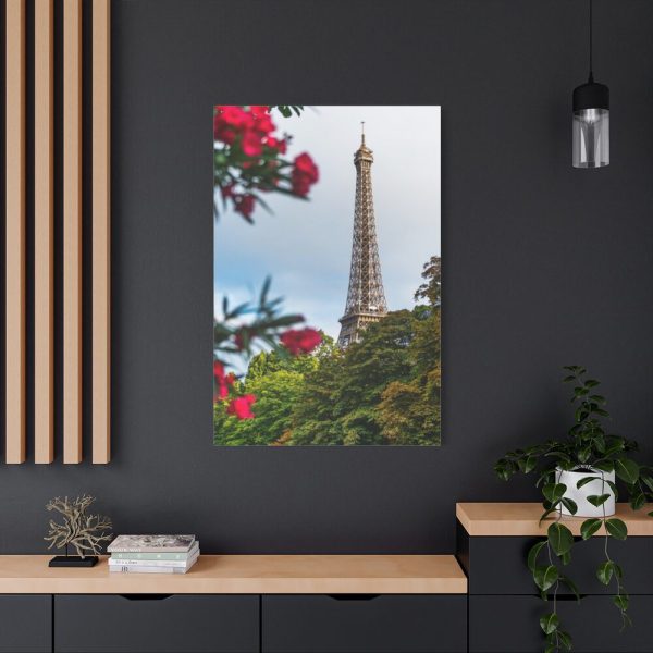 91655-18.jpg Paris in Nature Standard Canvas