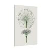 Hand Drawn White Blood Lily Standard Canvas