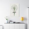 Hand Drawn White Blood Lily Standard Canvas