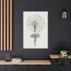Hand Drawn White Blood Lily Standard Canvas