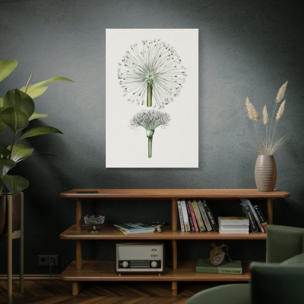 Hand Drawn White Blood Lily Standard Canvas
