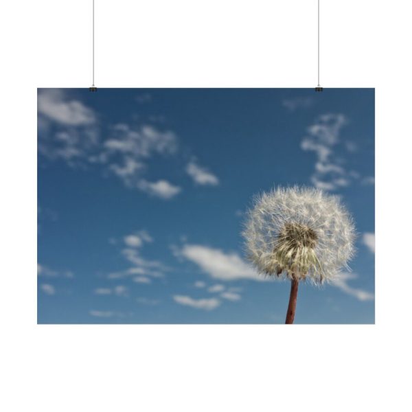 92408-131.jpg Dandelion and Blue Sky Poster