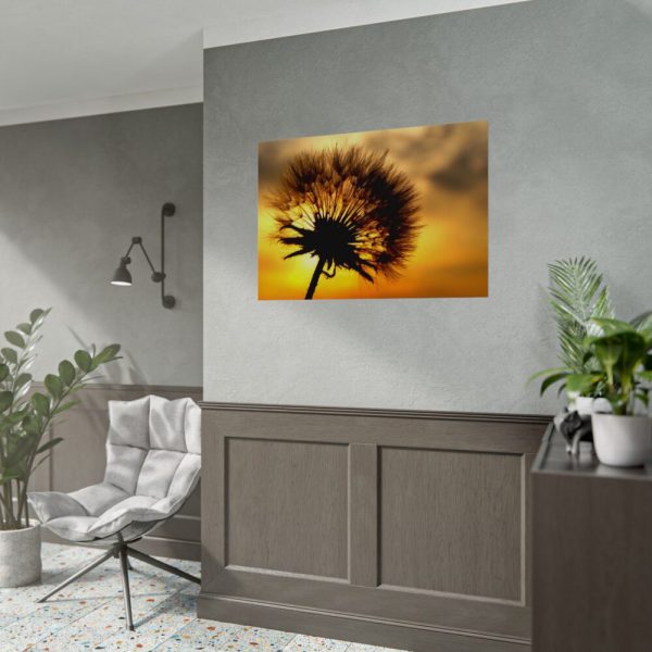 92408-139.jpg Dandelion and Sunset Poster