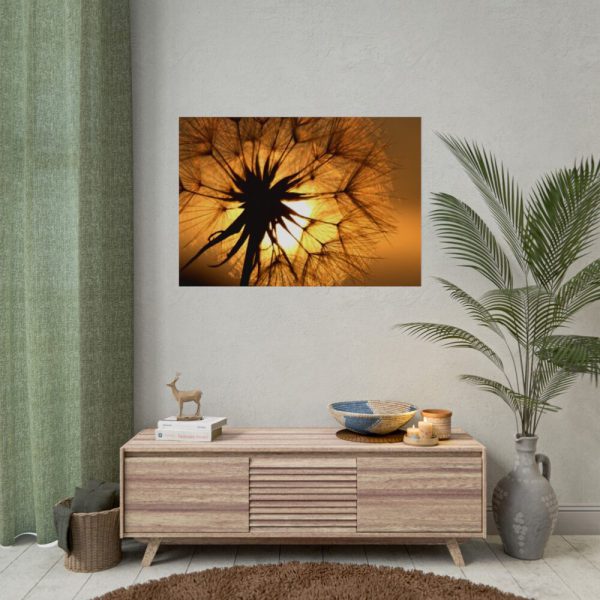 92408-173.jpg Closeup Dandelion Poster