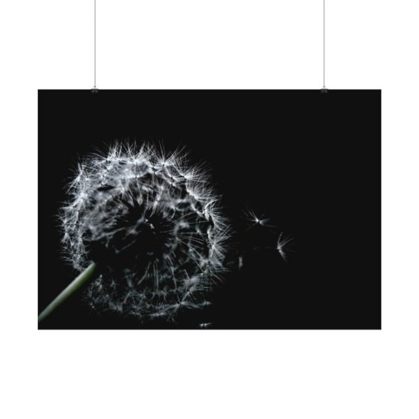 Dandelion Background Poster