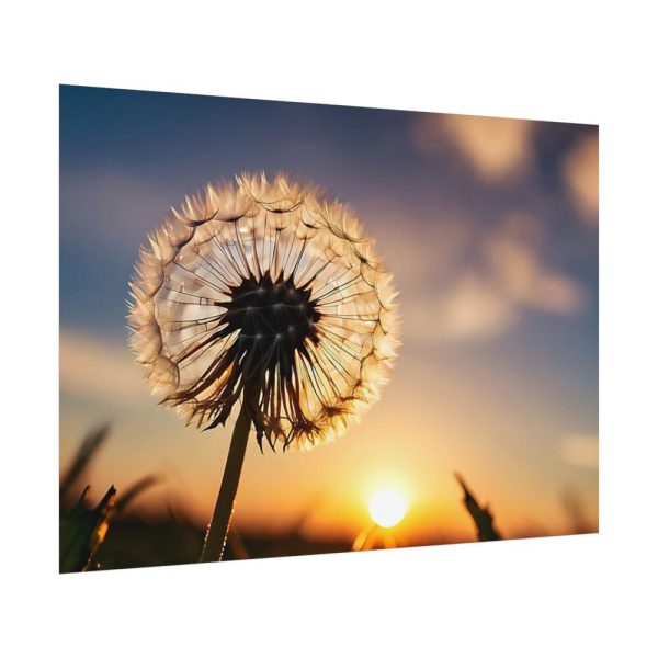 92408-182.jpg Dandelion Blossom Flower II Poster