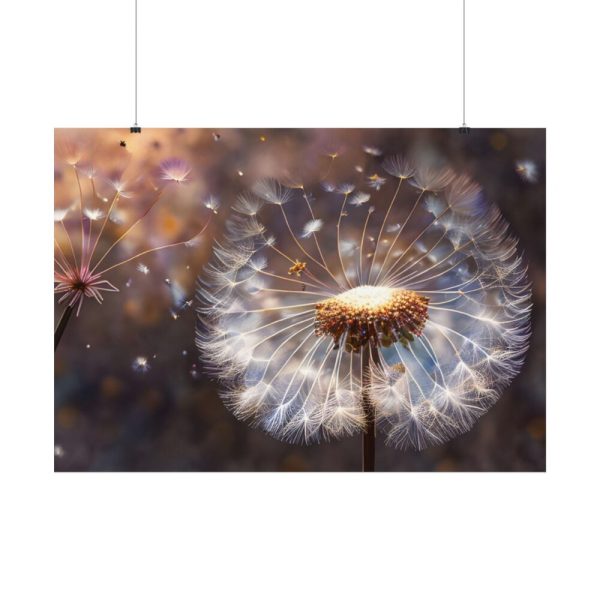 92408-196.jpg Dandelion Seeds Flower Head in Close Up Poster