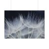 92408-226.jpg Macro Flower Detail Poster