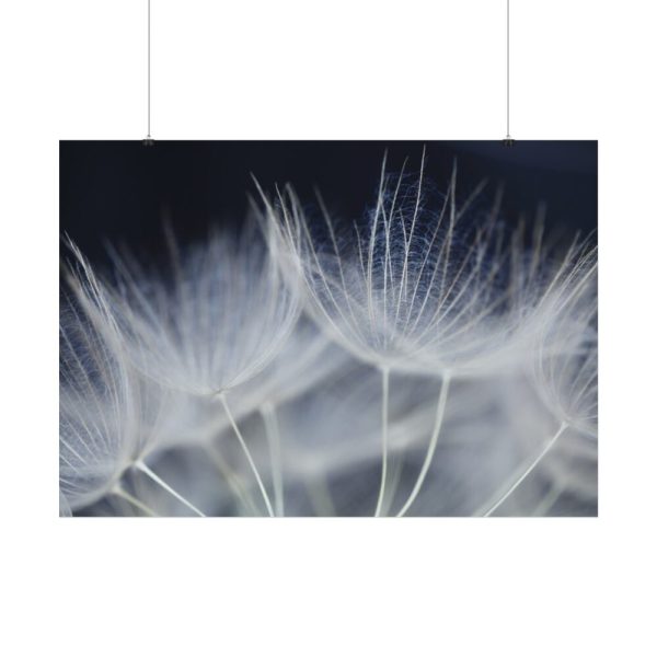 92408-226.jpg Macro Flower Detail Poster