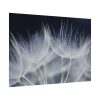 92408-227.jpg Macro Flower Detail Poster