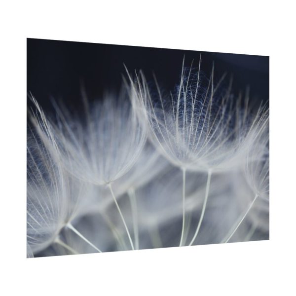 92408-227.jpg Macro Flower Detail Poster