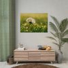 92408-233.jpg Dandelion in Dewey Grassy Area Poster