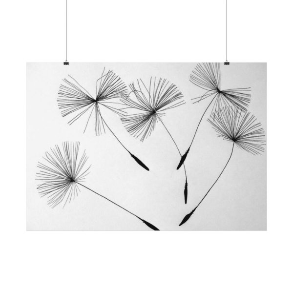 Dandelion Seeds Poster