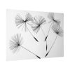 Dandelion Seeds Poster