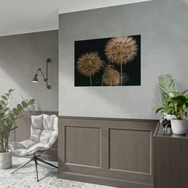 Giant Dandelion Poster