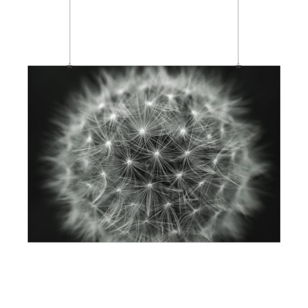 Dandelion Light Effect Poster