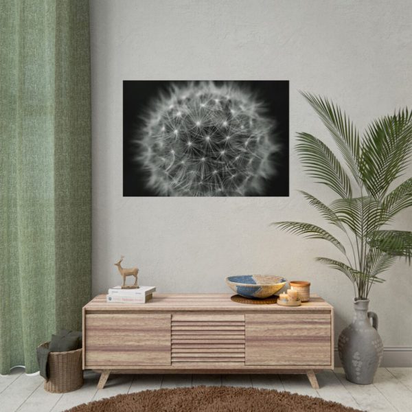 Dandelion Light Effect Poster