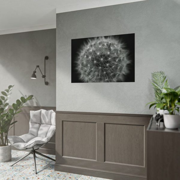 Dandelion Light Effect Poster