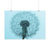 92408-271.jpg Dandelion Puffball Puff Poster
