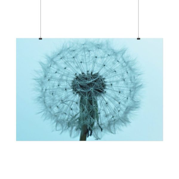 92408-271.jpg Dandelion Puffball Puff Poster