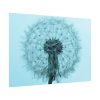 92408-272.jpg Dandelion Puffball Puff Poster