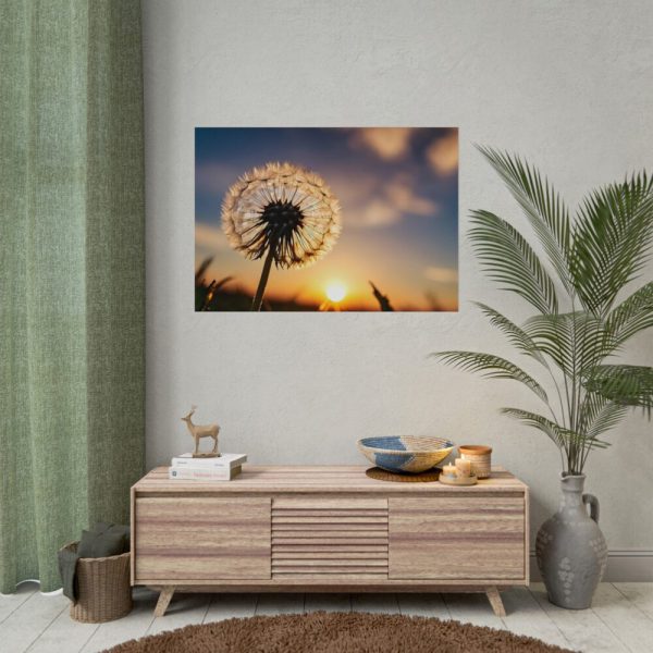 Dandelion in Golden Hour Poster