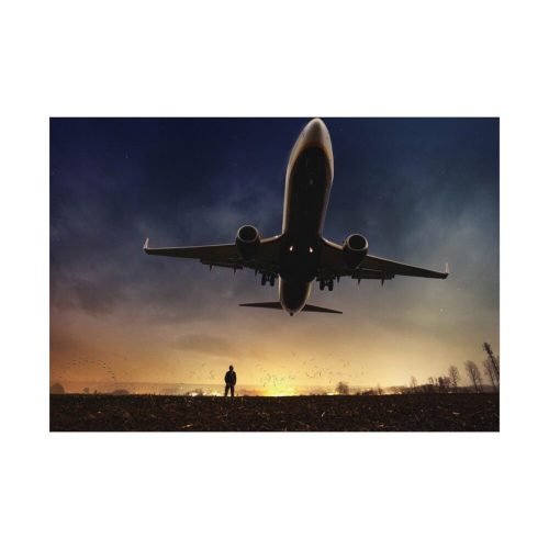 Man With Airplaine in Landscape Poster