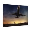 92408-367.jpg Man With Airplaine in Landscape Poster