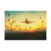92408-370.jpg Grass, Sky, Nature, Airport Poster