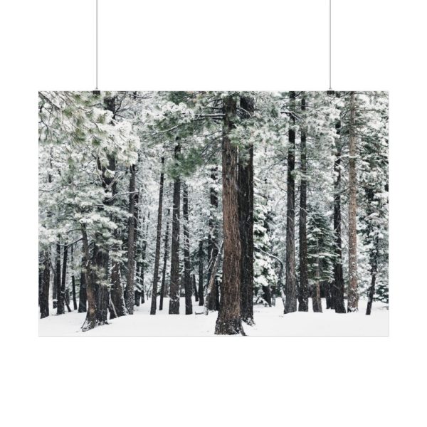 Old Mammoth Road Poster