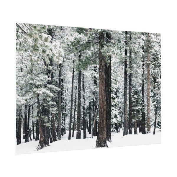 Old Mammoth Road Poster
