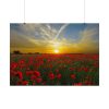 92408-561.jpg Flower Field in Sunset Poster