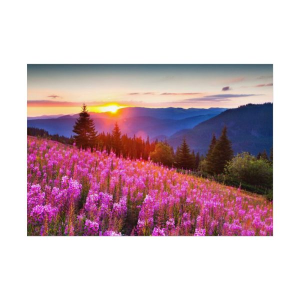 92408-590.jpg Sunlight Afterglow Poster